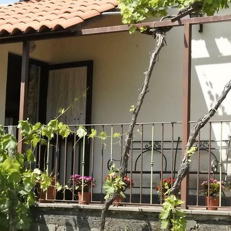Villa Casa Vacanza Etna Evergreen Piedimonte Etneo Exterior foto