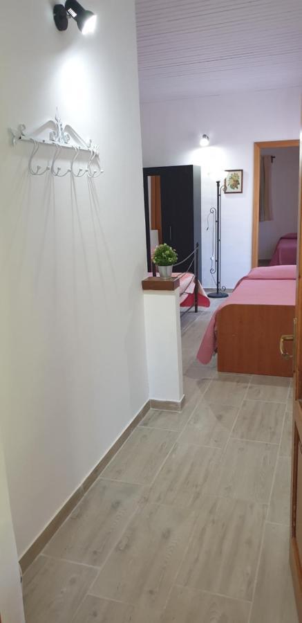 Villa Casa Vacanza Etna Evergreen Piedimonte Etneo Exterior foto