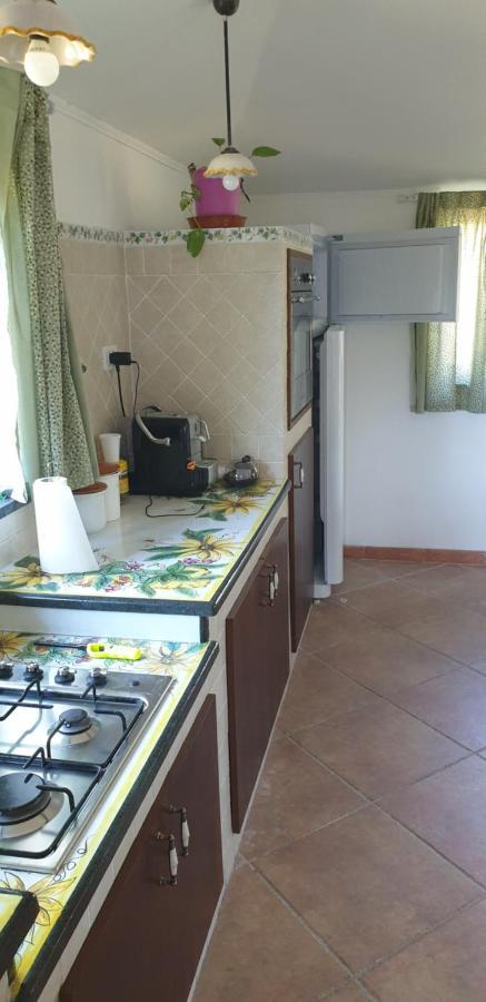 Villa Casa Vacanza Etna Evergreen Piedimonte Etneo Exterior foto