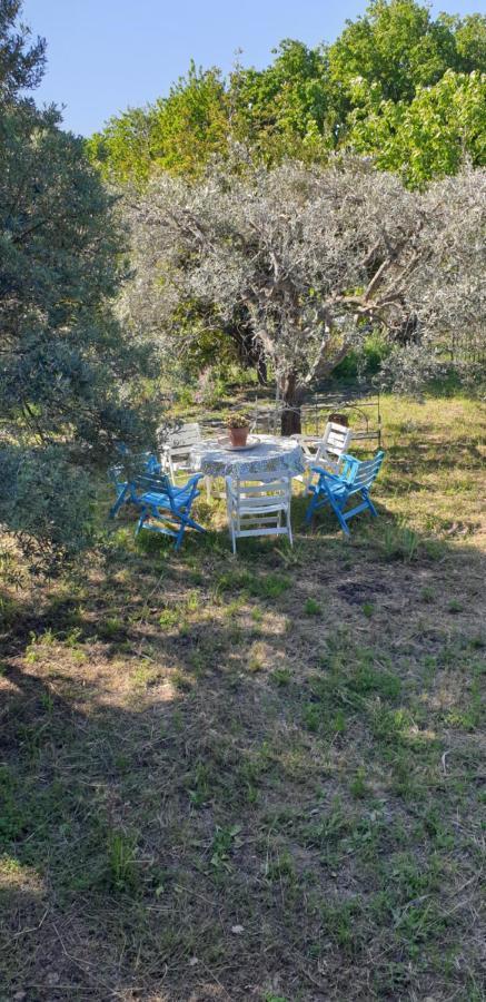 Villa Casa Vacanza Etna Evergreen Piedimonte Etneo Exterior foto
