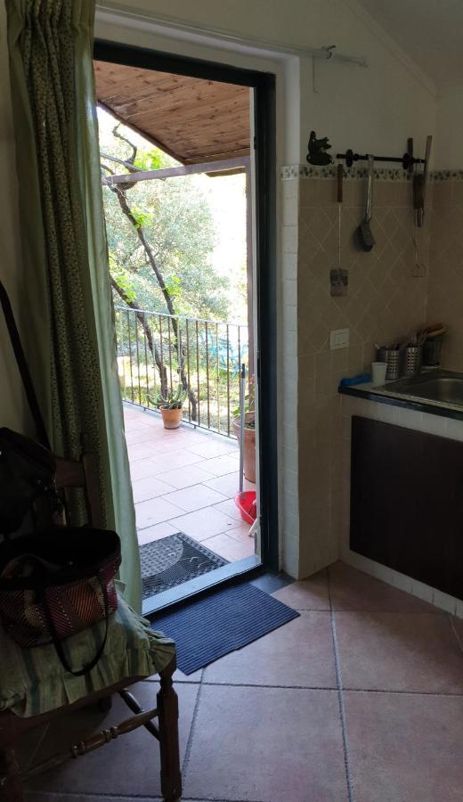 Villa Casa Vacanza Etna Evergreen Piedimonte Etneo Exterior foto