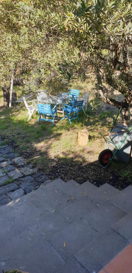 Villa Casa Vacanza Etna Evergreen Piedimonte Etneo Exterior foto