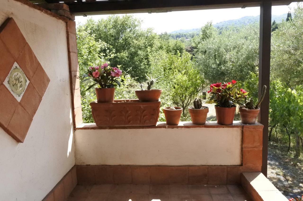 Villa Casa Vacanza Etna Evergreen Piedimonte Etneo Exterior foto
