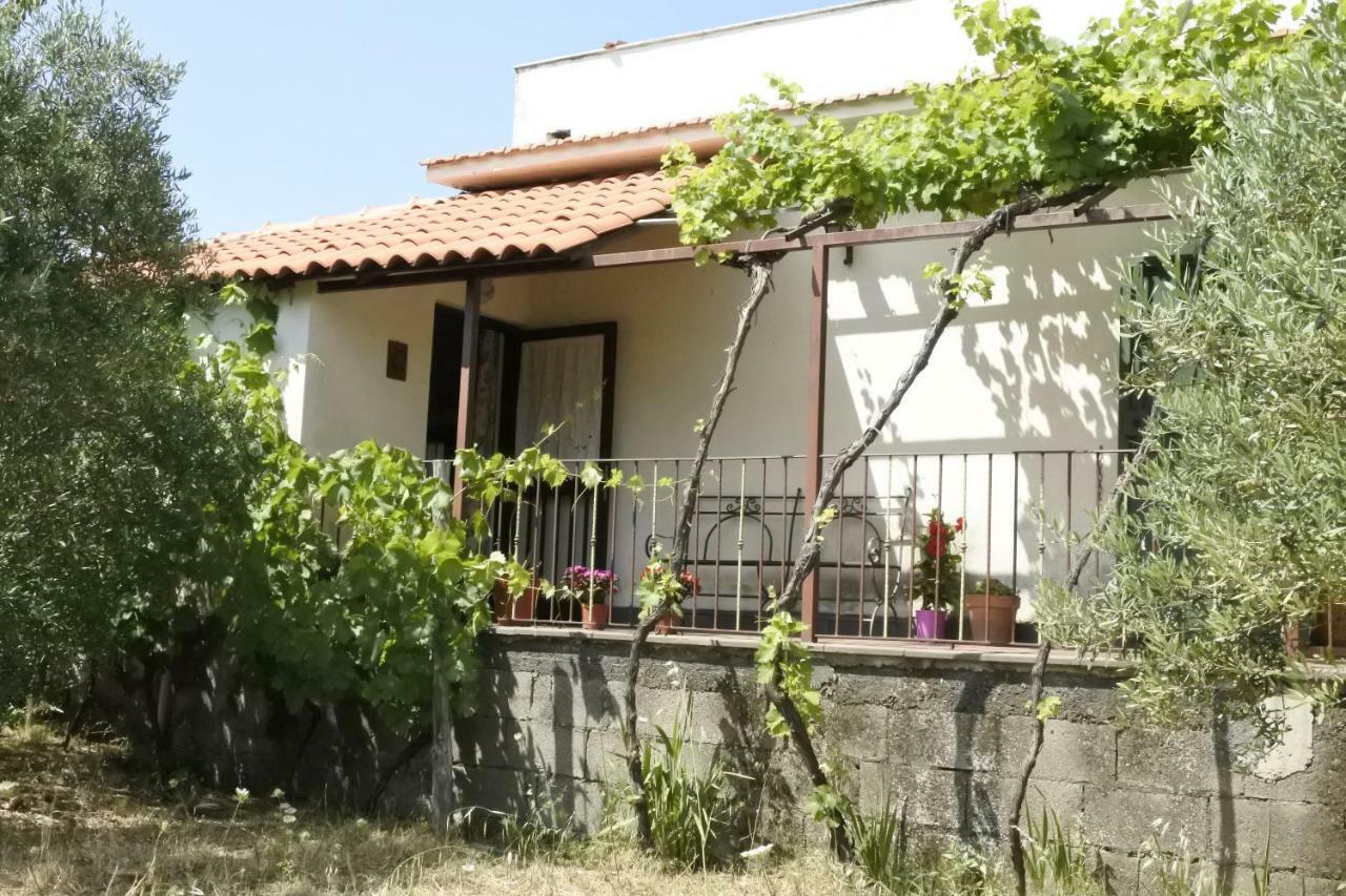 Villa Casa Vacanza Etna Evergreen Piedimonte Etneo Exterior foto